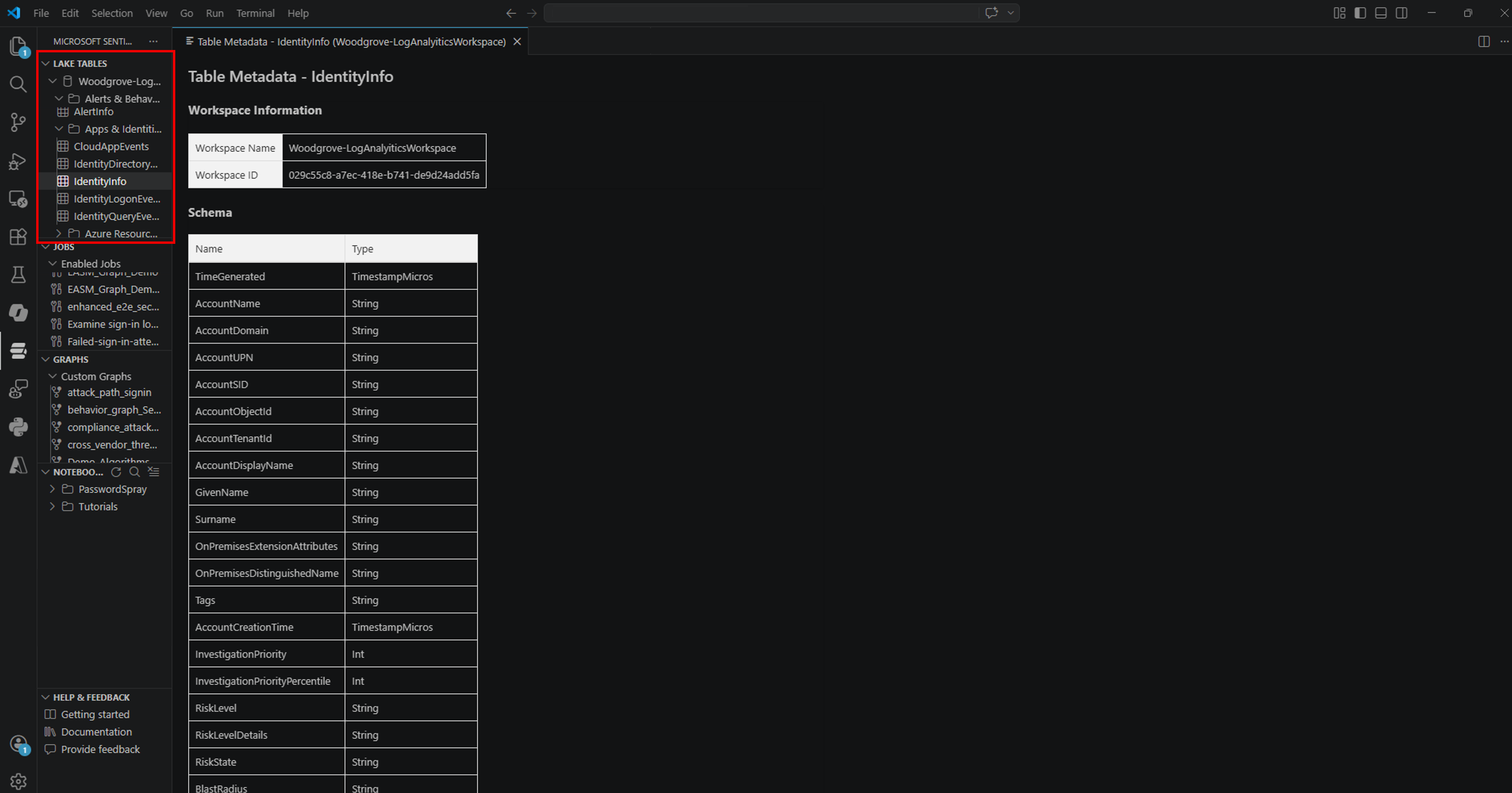 Explore lake tables and schema